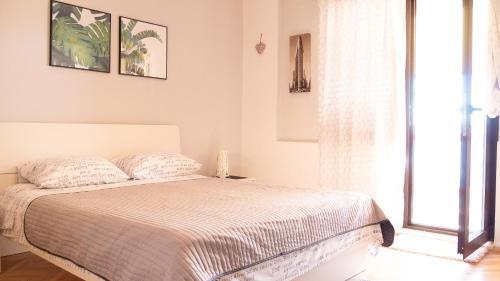 Apartamento Lela 1