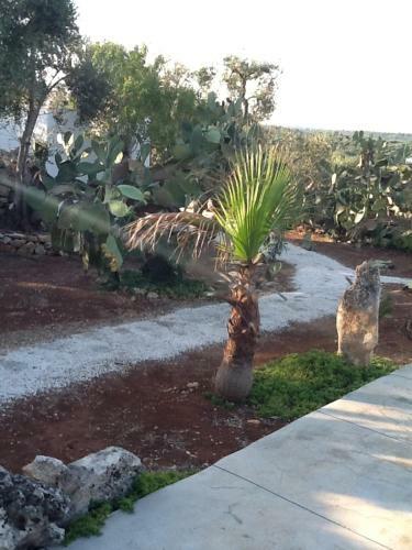 Agroturismo Tenuta Trullo Alto