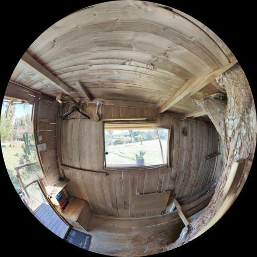 Cuckoo's Nest Tree House
