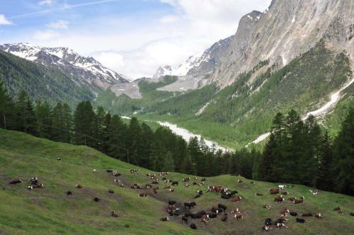 Apartamento Chalet Aux Pieds Du Mont-blanc
