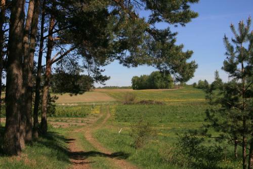 Agroturismo Pokoje Discovery Mazury