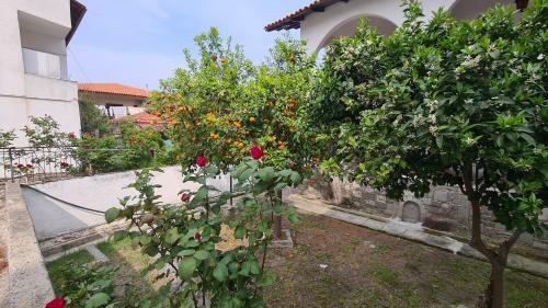 Family House