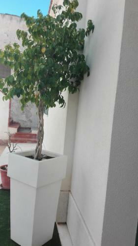 Apartamento Antico Cortile Favignana