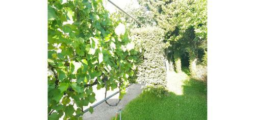 Apartamento Bruny - Appartamento A 200mt Dal Mare