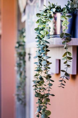 Apartamento Sovramare