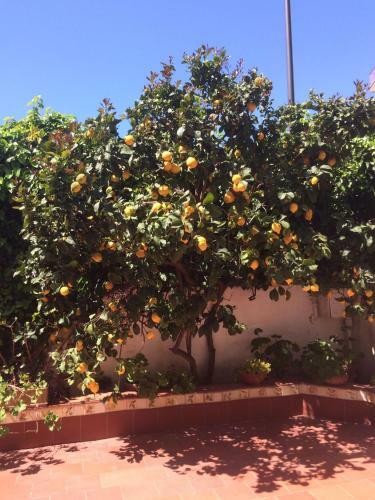 Bed & Breakfast Astro Nascente
