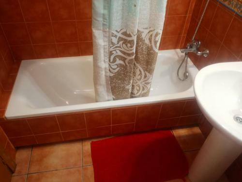 Habitaci�n Privada Marina Botafoch 2