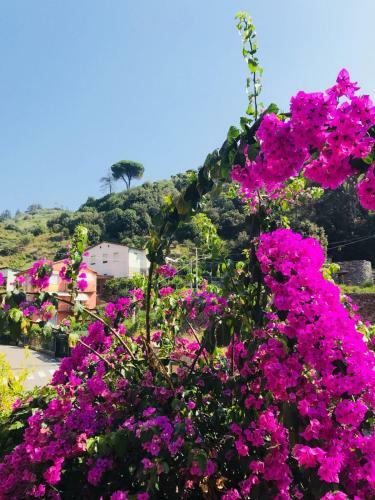 Apartamento Appartamento Le Conchiglie Monterosso Al Mare