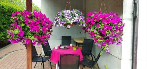 Hostal Willa Latarnik Tw�j Bon Turystyczny