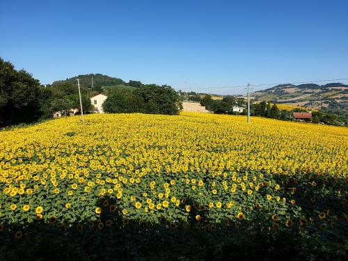 Villa Anna Monolocale Con Ingresso Indipendente