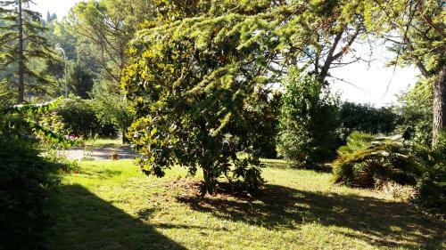Villa Anna Monolocale Con Ingresso Indipendente