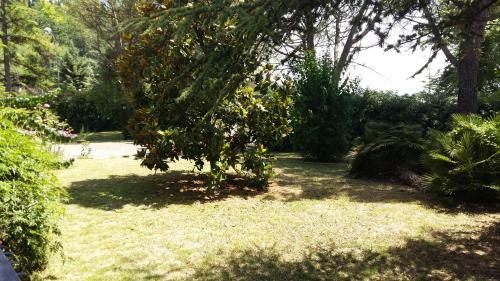 Villa Anna Monolocale Con Ingresso Indipendente
