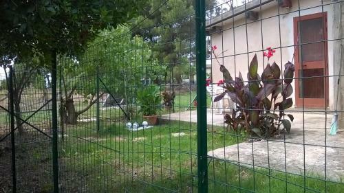 Apartamento Villini Totoenita 2