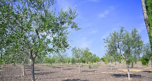 Apartamento Tenuta Quisisana