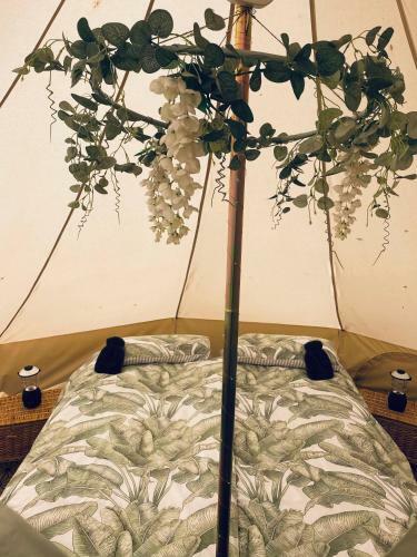 Duneden Belle Glamping