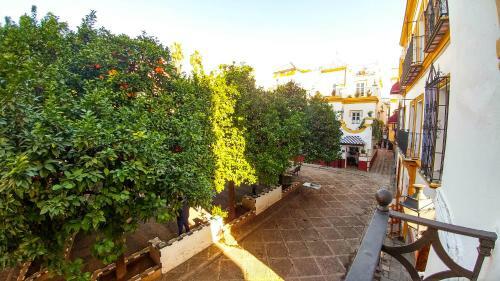 Apartamento Plaza De Do�a Elvira 8