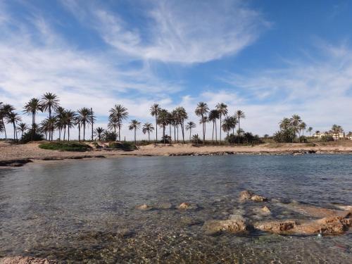 Apartamento Punta Prima Torrevieja Fantazy01