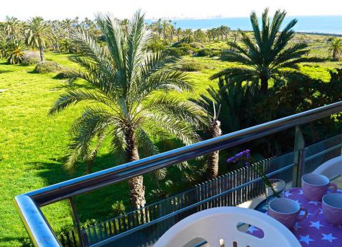 Apartamento Punta Prima Torrevieja Fantazy01