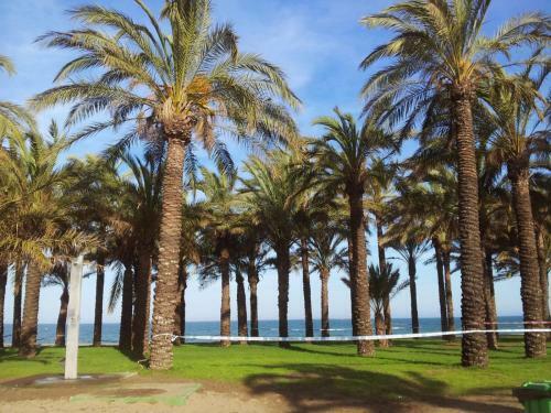Apartamento Los Alamos