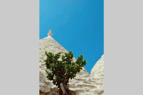 Apartamento Villa Trulli