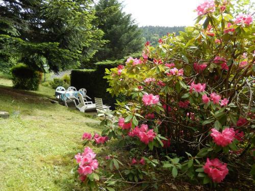 Apartamentos Appartement Avec Jardin Les Iris