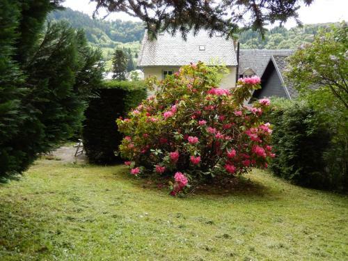 Apartamentos Appartement Avec Jardin Les Iris