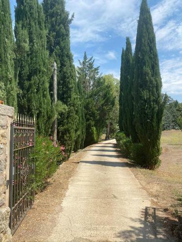 Domaine Piqueroque - Large Appartment