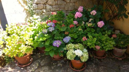 Bed & Breakfast Maison Chaumont