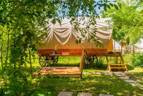 Dragonfly Gardens Urban Glamping Brasov