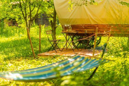 Dragonfly Gardens Urban Glamping Brasov