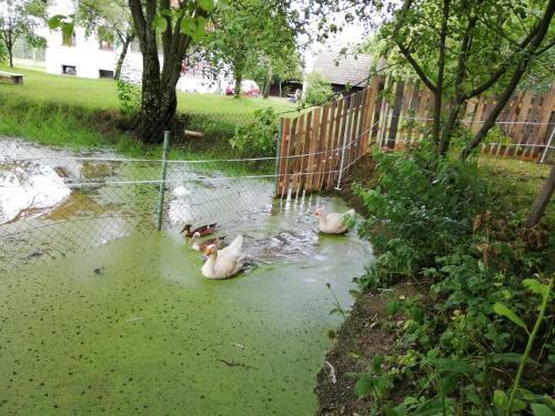 Villa Ubytov�n� Se Zv�?�tky