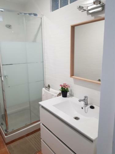 Apartamento Casa Patio San Paulino