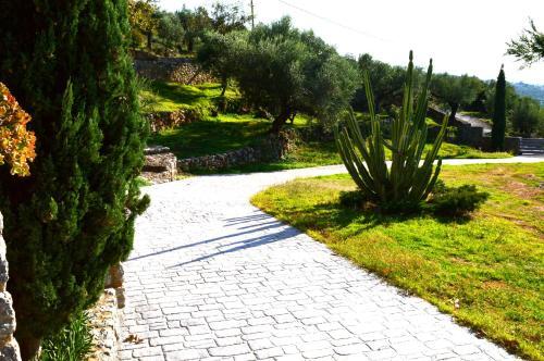 Apartamento Aloe Meli