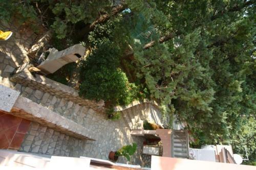Apartamentos Villa Stefi (30m From The Sea)