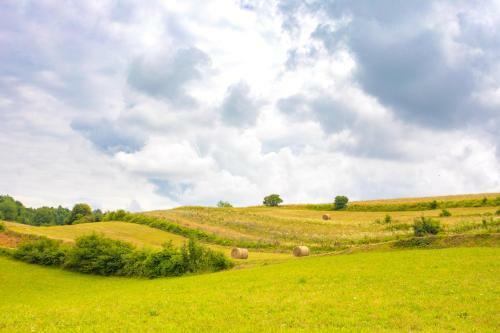 Lodge Holidays - Heart Of Nature