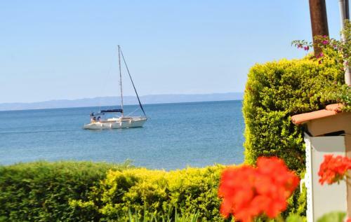 Apartamento Christina's Sea House