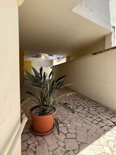 Victoria Holiday Home - Click Salento