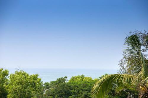 Hostal Zinhos Beach Resort Titos Lane