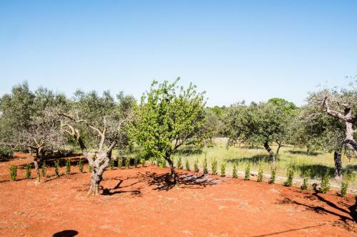 Regina Di Puglia Casa Vacanze