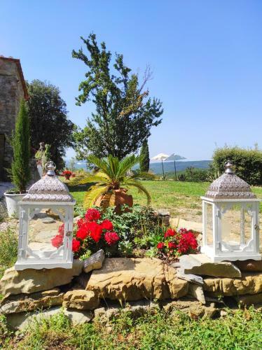 Apartamento Agriturismo Podere Le Palaie