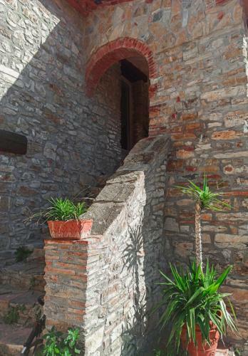 Apartamento Agriturismo Podere Le Palaie