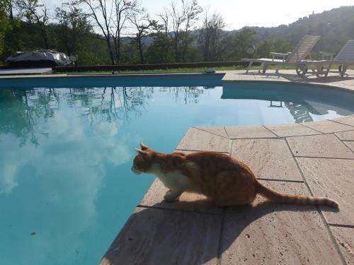 Bed & Breakfast La Giorgetta