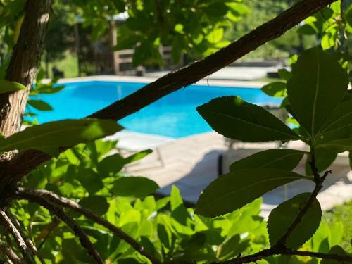 Bed & Breakfast La Giorgetta