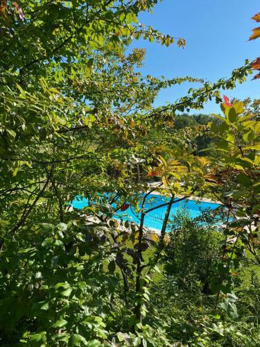 Bed & Breakfast La Giorgetta