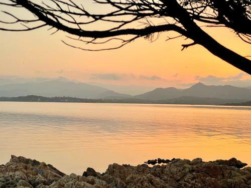 Apartamento San Teodoro Punta Est Bilocale Vista Mare