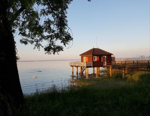 Bnb Seaview