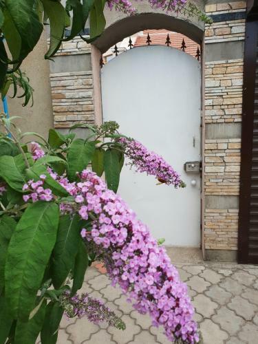 Hostal Guest House Cozy Near Arcadia