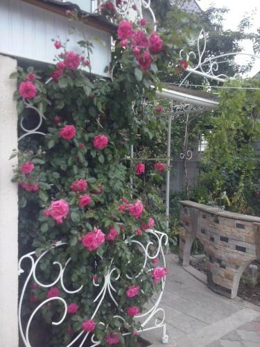 Hostal Guest House Cozy Near Arcadia