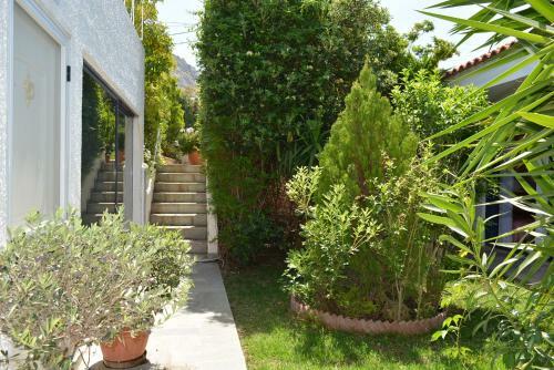 Villa Grace