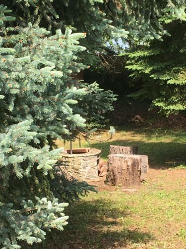 C�drus Apartman